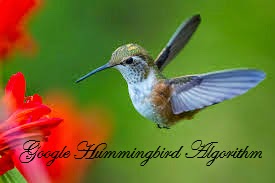 Hummingbird Algorithm