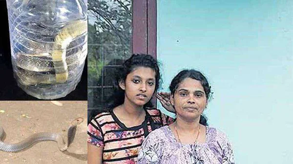 News, Kerala, Wayanad, Snake, House, Family, Husband, Dies, Students, Fear of Poisonous Snakes; The Family Left Home