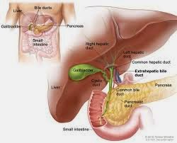 weight loss after gallbladder removal weight loss after gallbladder removal