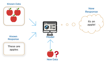 Machine Learning Applications {Types, Definition, and Examples}