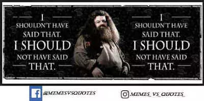 Soundest Harry Potter Quotes That Potterheads Have To Know Harry Potter Quotes
