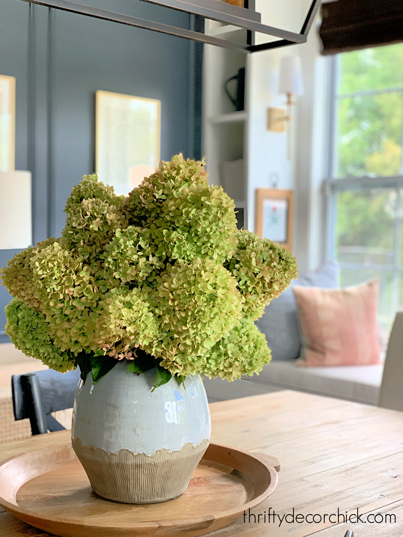 huge green and pink hydrangea blooms