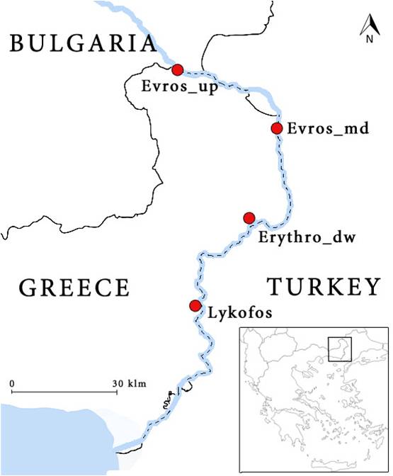 Evros River Greece Map Athens Nature Journal: Boat Electrofishing The Evros River: Summer 2018