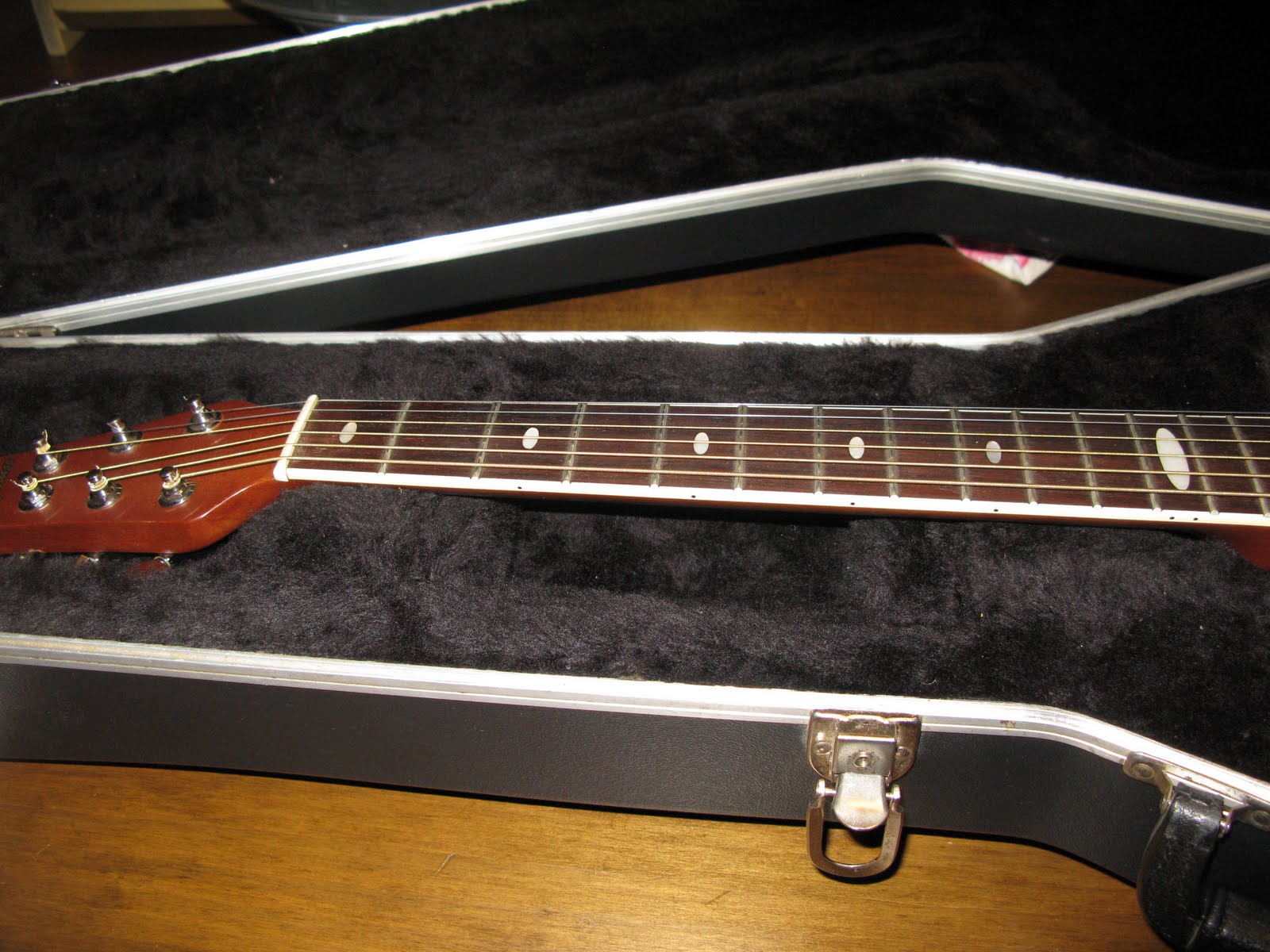 Brass Balls Pawn™ Ovation Applause RoundBack Guitar Acoustic Electric