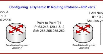 Dynamic Routing(Routing Dinamis)