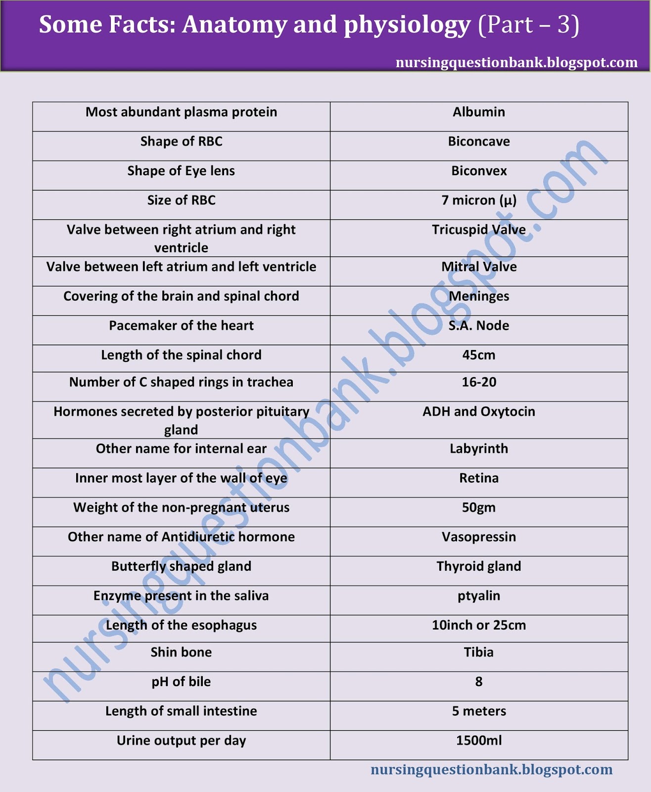 Some Facts ( Anatomy And Physiology ) Part 3 Nursing MCQ'S And Guide