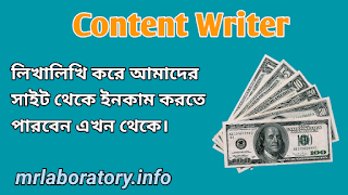 Content Writer - MR Laboratory Content Writer - MR Laboratory