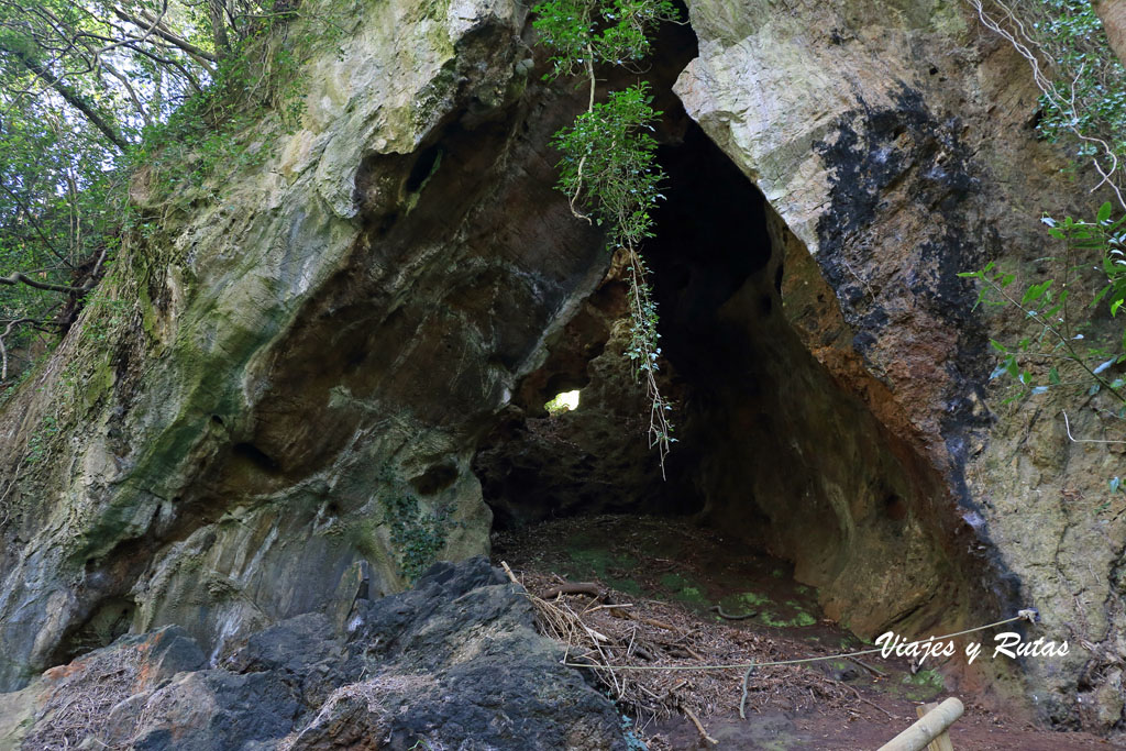 Cuevas de Andina