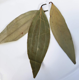 Tej Patta, Tamal Patra, Indian Bay Leaf