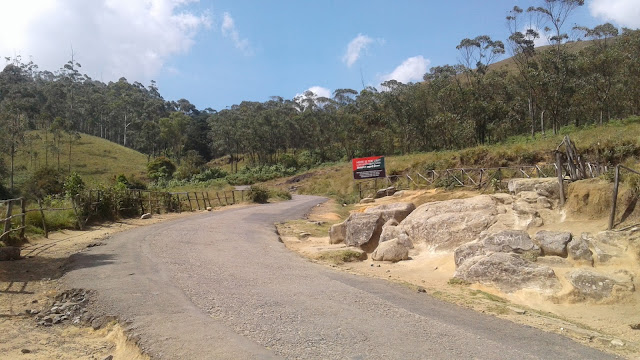 way to core forest area in eravikulam national park, munnar, kerala, india