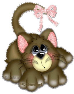 gatinho-fofo.gif