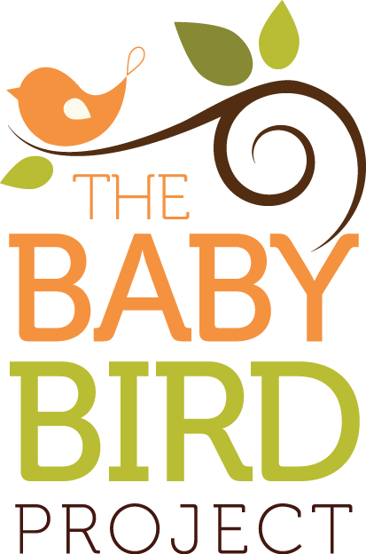 The Baby Bird Project