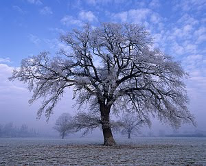 So schön kann Winter sein