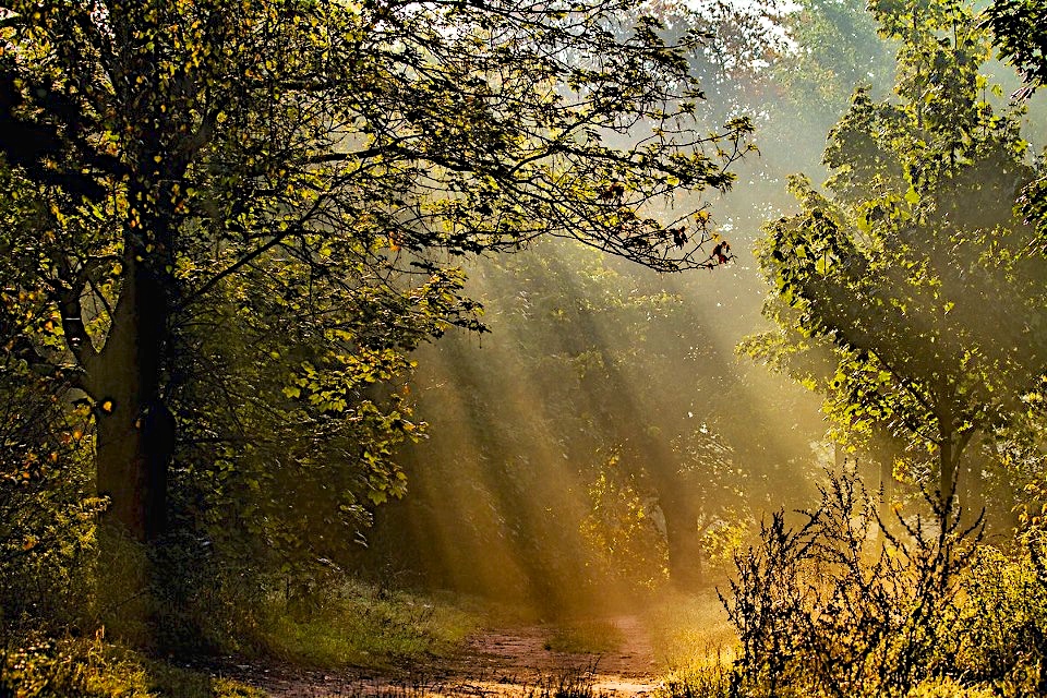 Bernau LIVE - Dein Stadtmagazin für Bernau bei Berlin