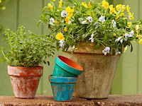 5 Spring DIY Garden Ideas
