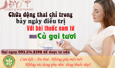 Bài thuốc củ gai chữa động thai vô cùng hiệu quả và an toàn