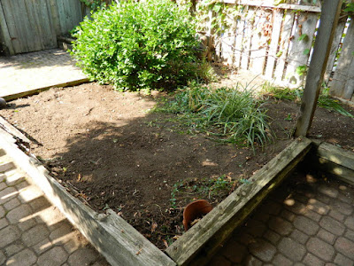 Palmerston Little Italy Back Yard Garden Cleanup after by Paul Jung Gardening Services Toronto Palmerston Little Italy Back Yard Garden Cleanup after by Paul Jung Gardening Services Toronto
