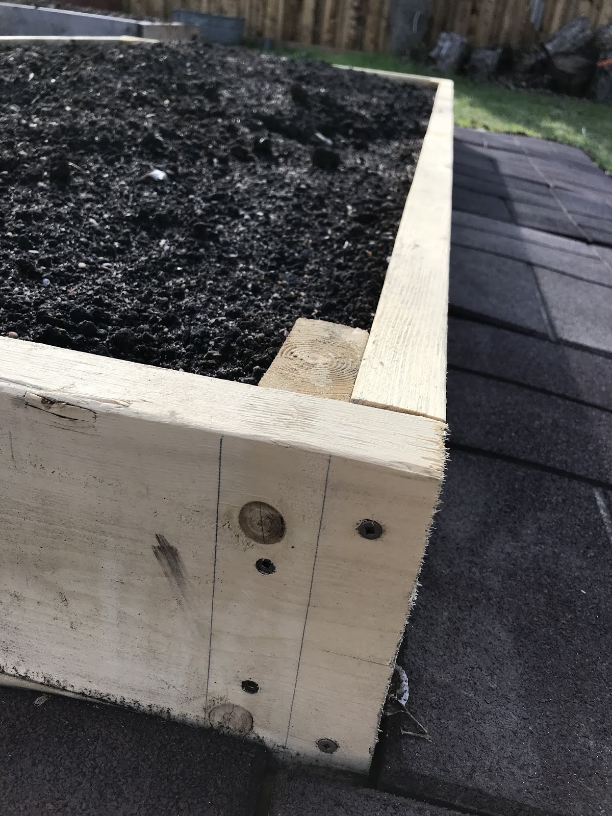 Backyard Garden Make a raised bed from untreated lumber
