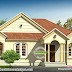 1579 sq-ft single floor sloping roof house