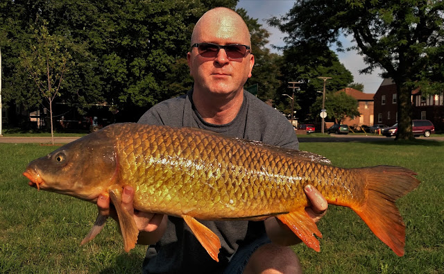 15%2Bpound%2Bcarp.jpg