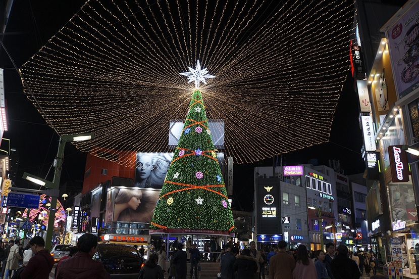 SEOUL CAFE eat...travel...coffee...and KOREA! เทศกาลเดือนพฤศจิกายน