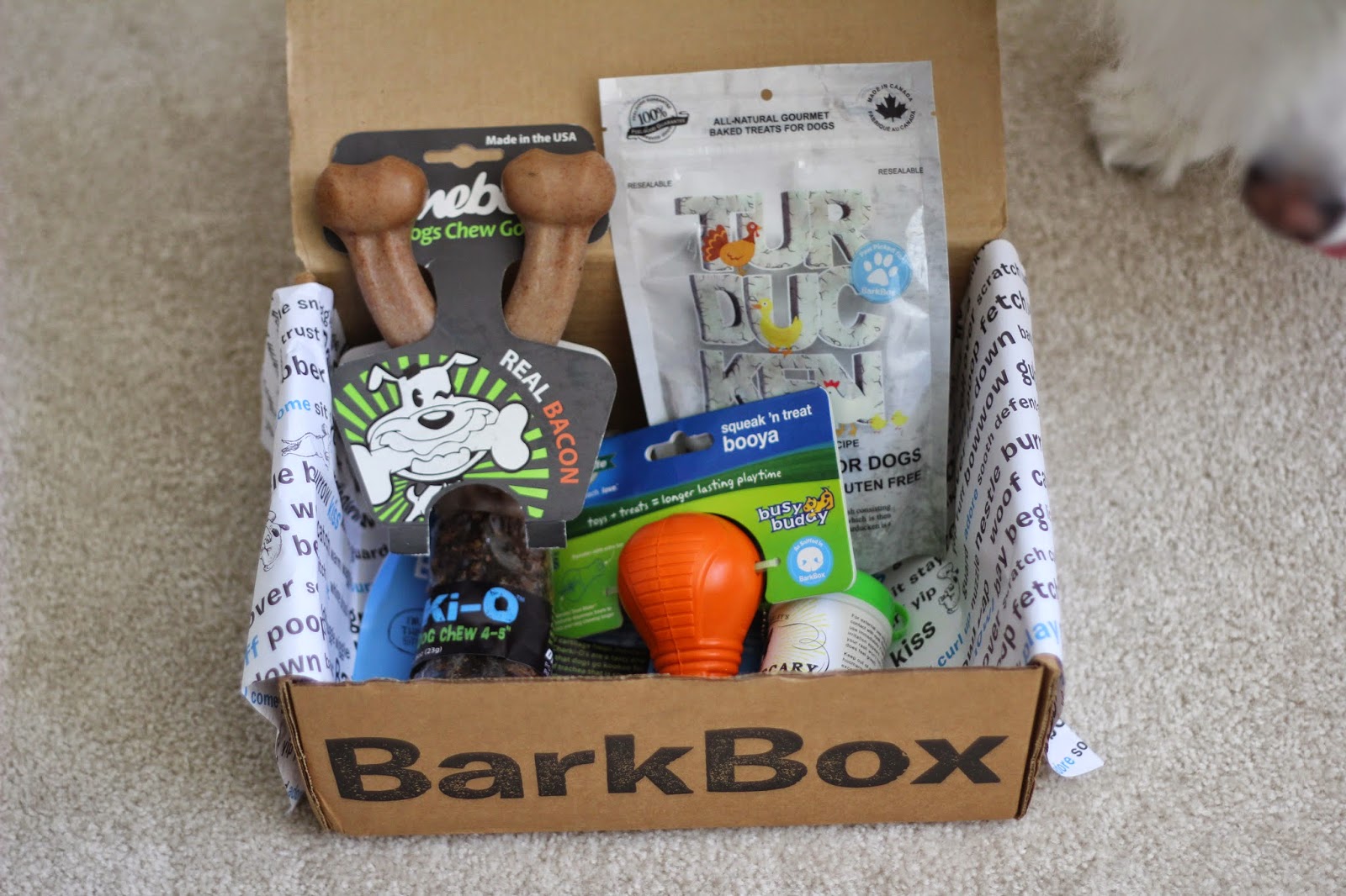 Ruckus the Eskie BarkBox November 2014 (BarkBox Promo Code)
