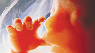 Setelah 30 Tahun, Seorang Ibu Terkejut Temukan Bayi yang Diaborsinya Masih Hidup