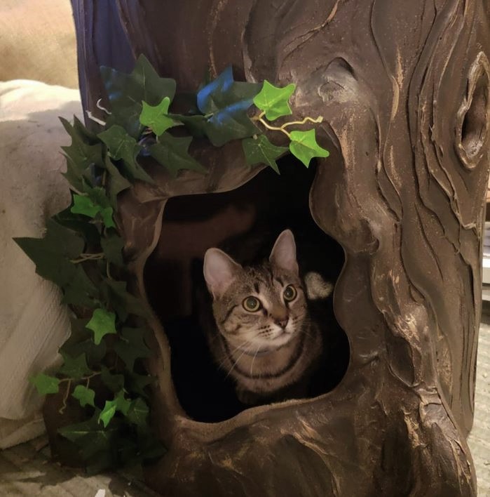Luxury Cat Trees for Spoiled Rotten Kitties Amazing Cat Trees