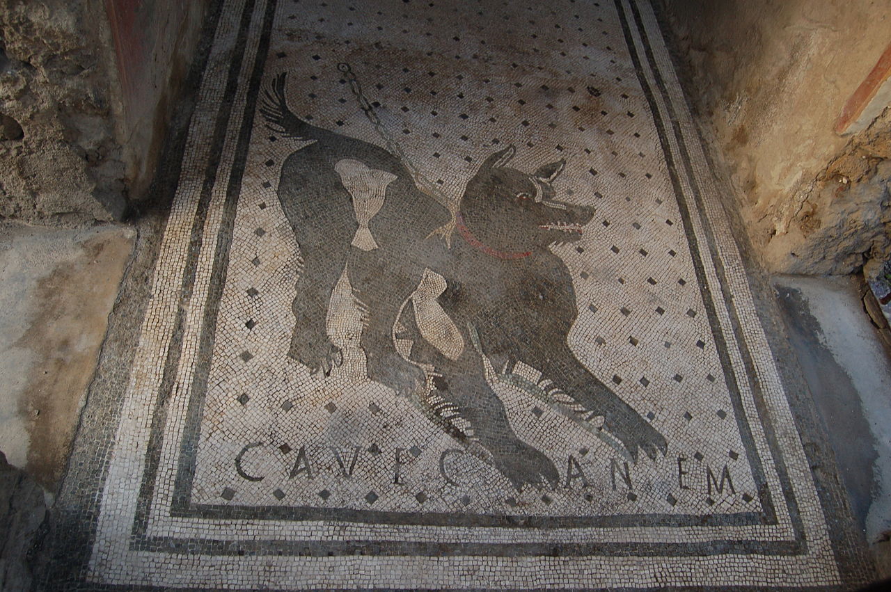 "Opus Pessellatum" CAVE CANEM. INTERPRETACION DE UNO DE LOS CAVE CANEM