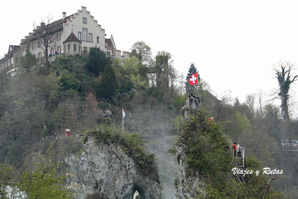 Rheinfallfelsen.