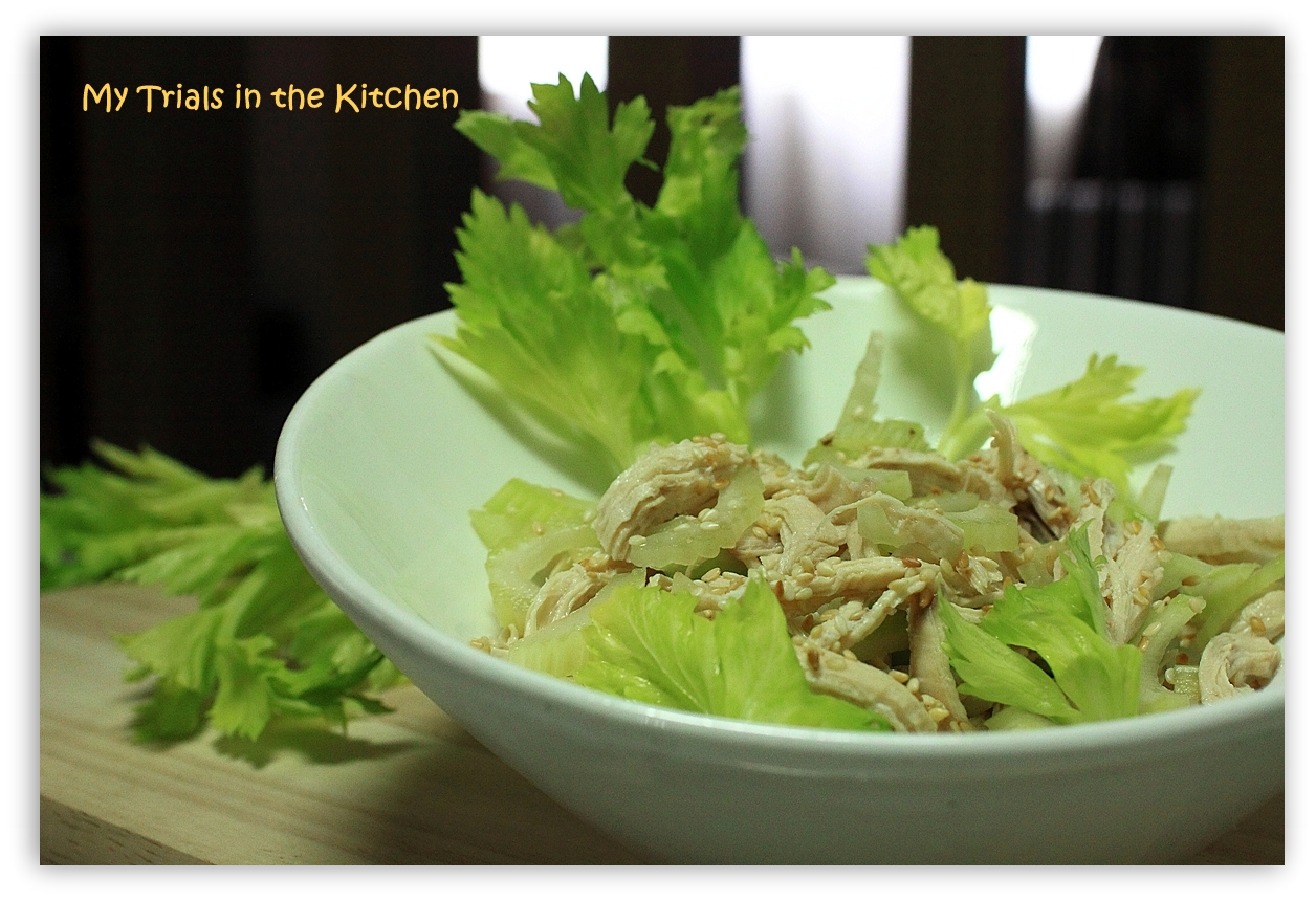 My Trials in the Kitchen Oriental Chicken and Celery Salad served with