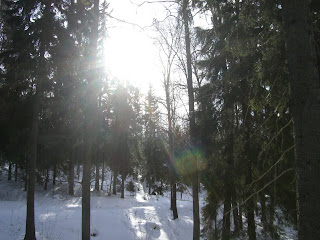 Promenad%2Bi%2Bskogen%2B%25282%2529 - Sköna lördagspromenader med vår i luften