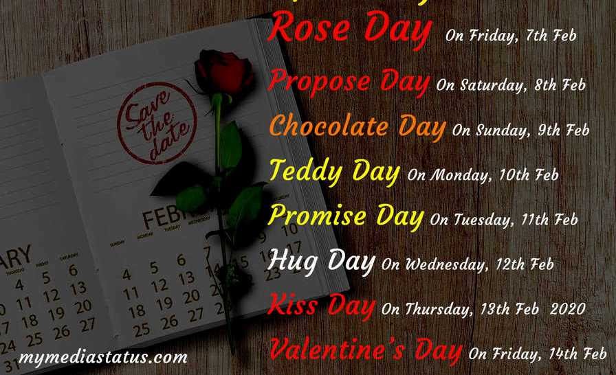 feb all day list