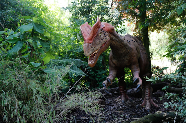 Halloween 2018 à Pairi Daiza 5 3uoXkG8w