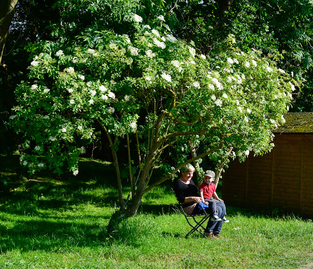 Gut Nisdorf, Kinder & Familienhotel in Mecklenburg Vorpommern, Ostsee - Bio Hotel