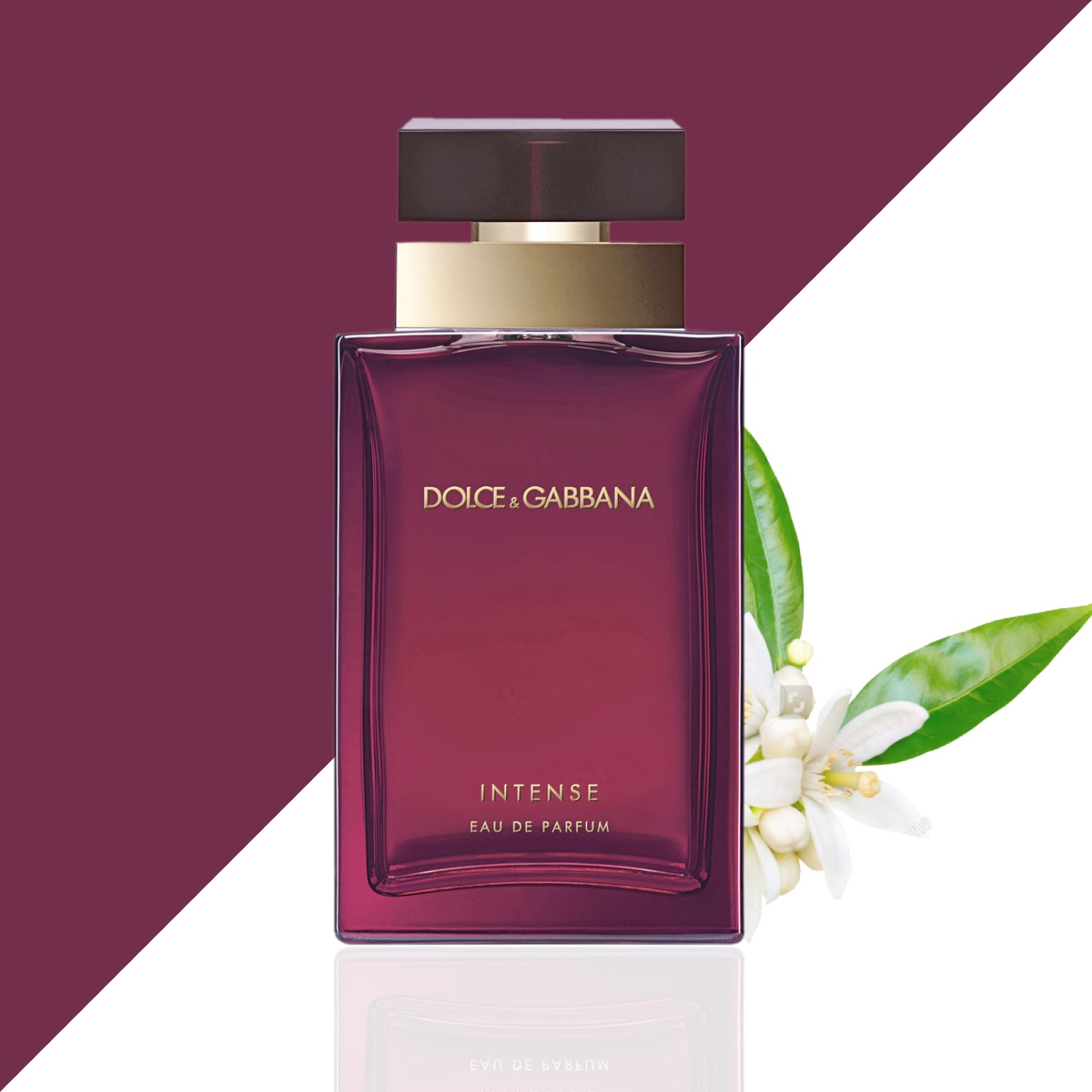 Scent Spotlight The Best Sandalwood Scents Edgars Mag