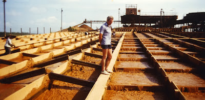 Palong concentrator