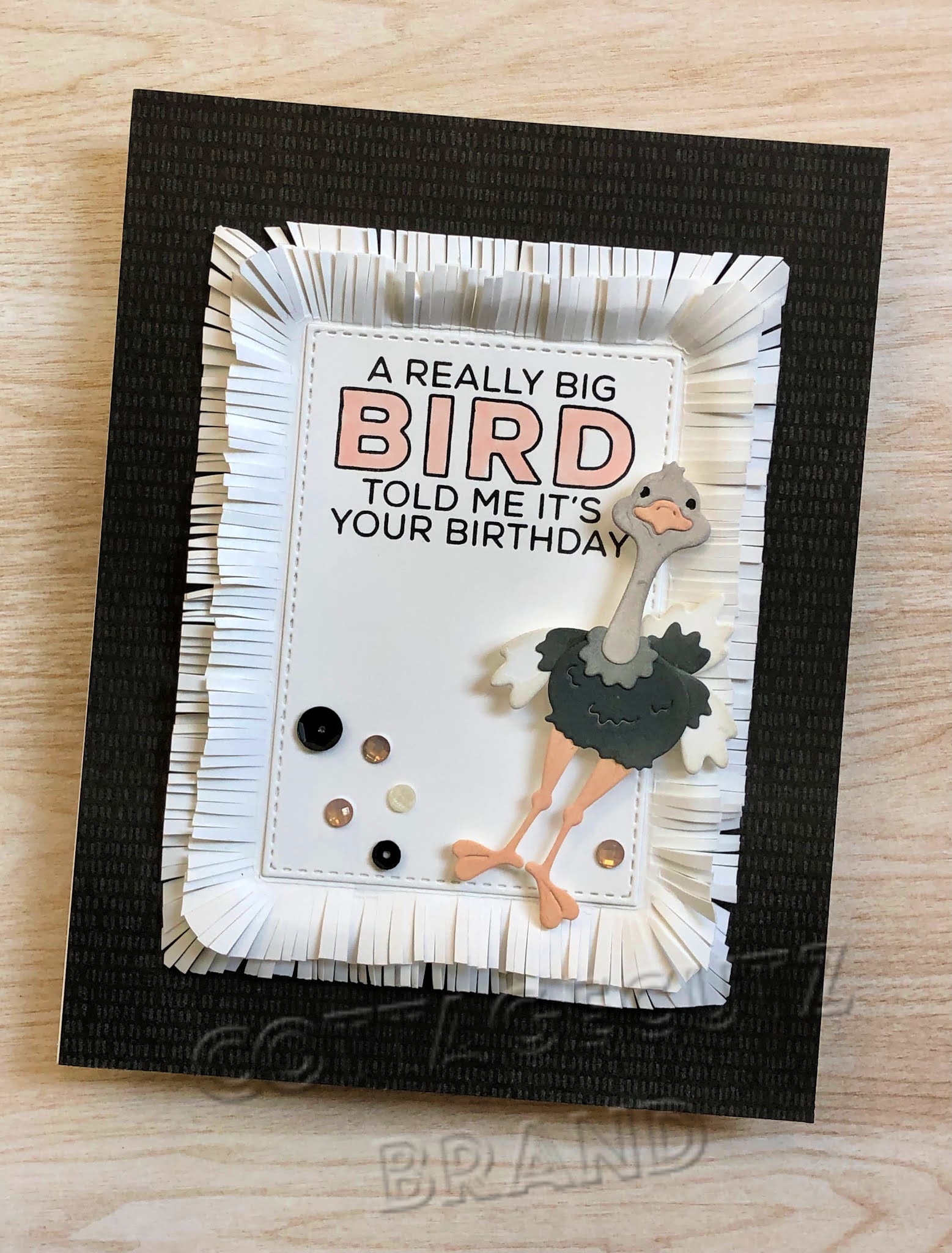 CottageBLOG: A Big Bird Birthday