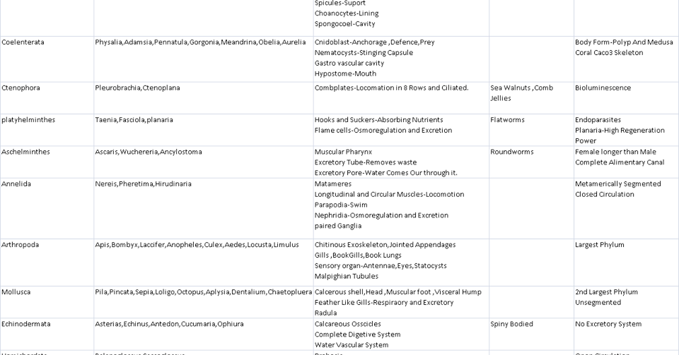 Animal Kingdom Chart