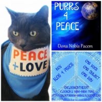 BLOG4PEACE 2015