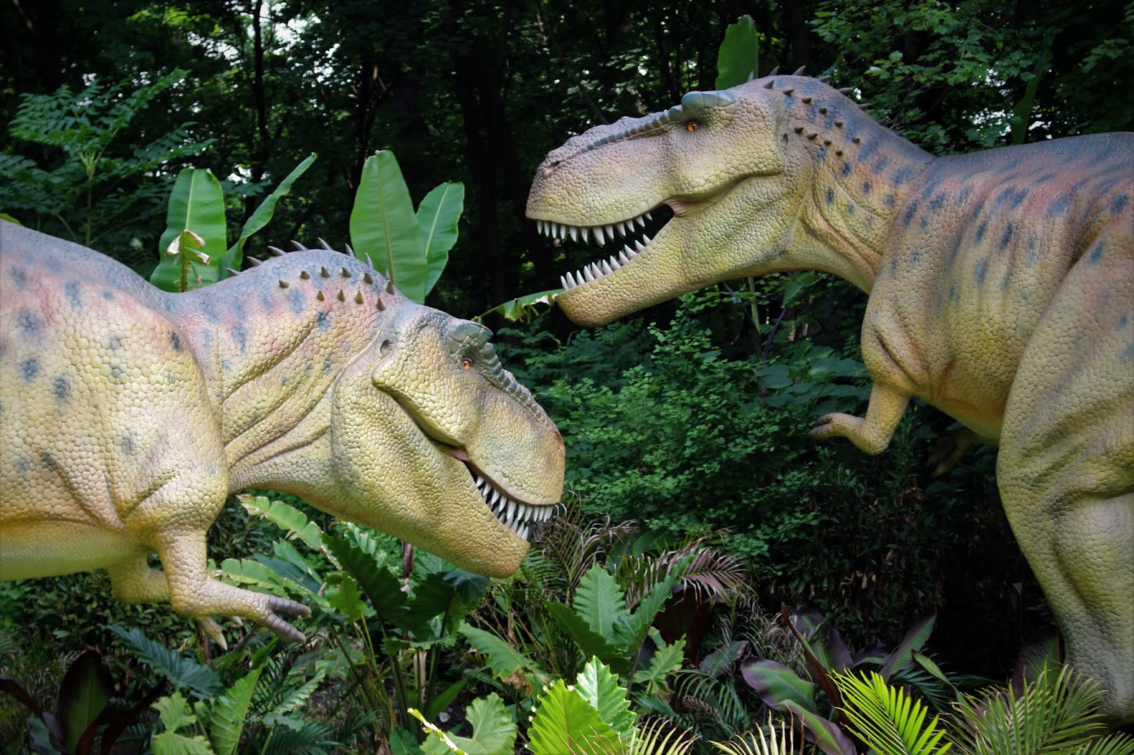 The Philadelphia Zoo + Big Time: Dino Experience 