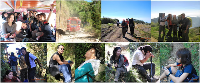 mt pulag ambangeg trail, mt pulag benguet, luzon highest peak, mt pulag easy trail