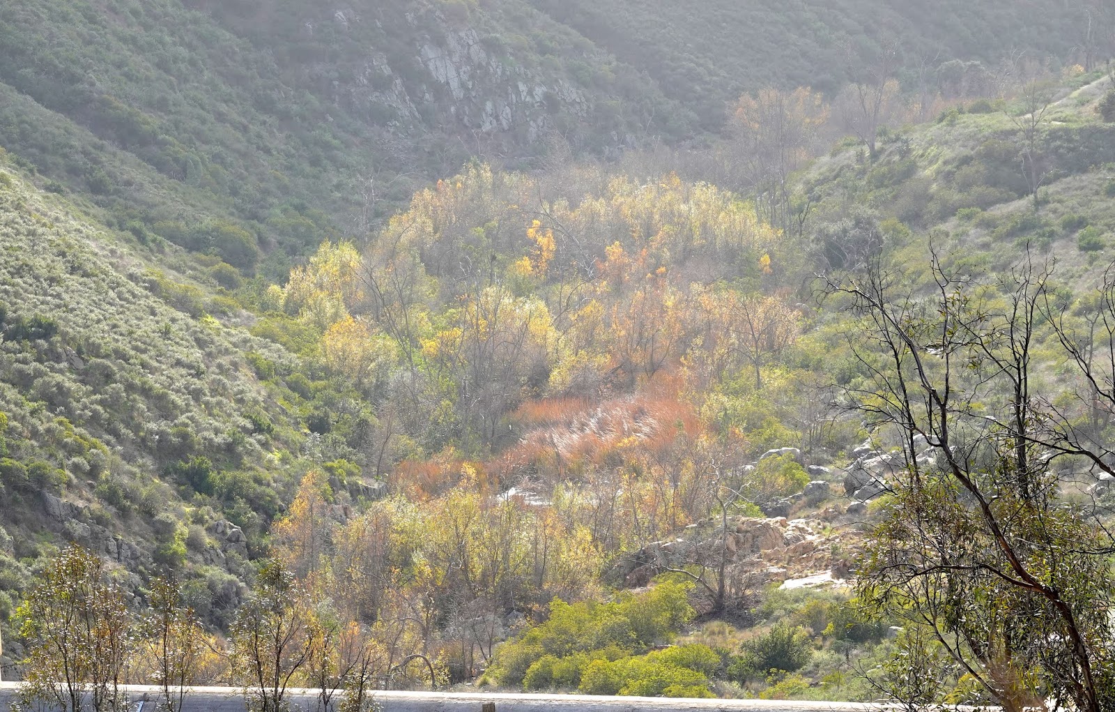 Looking for Lakes Hodges