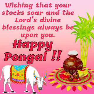 happy pongal amazing quotes images free download