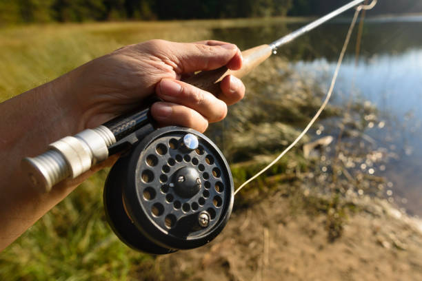 Fly Fishing Rods - The Basic Choices