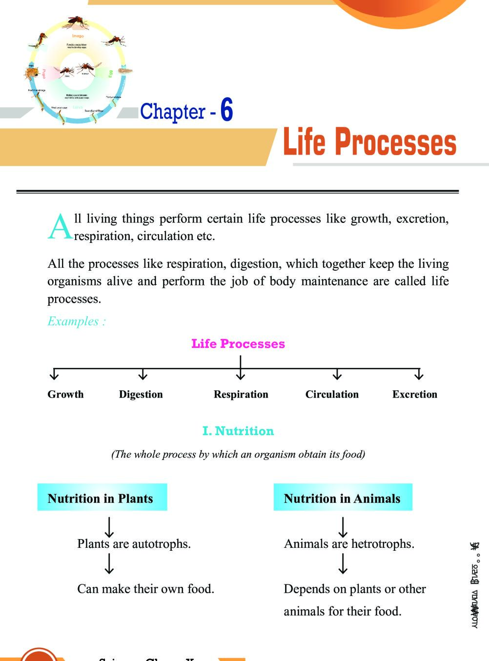 life process case study class 10
