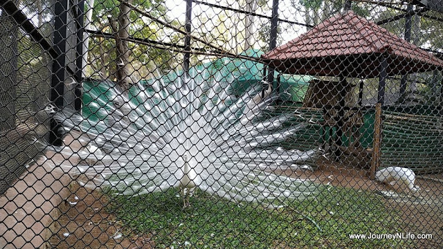 Bannerghatta National Park & Zoo, Bengaluru