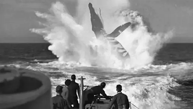 ¿La tripulación del submarino alemán U-28 vio un monstruo marino?