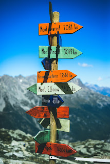 Photograph of assorted colored wooden road signs going in different directions.
