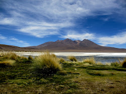 Atacama Desert, Bolivia